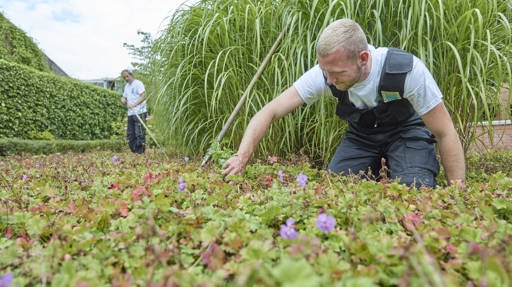 Groenonderhoud 2 Klein