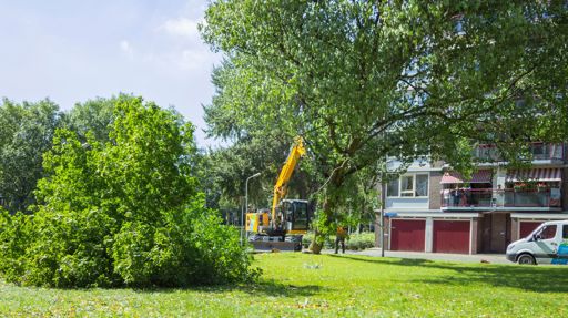 Stoop Groenvoorziening 3